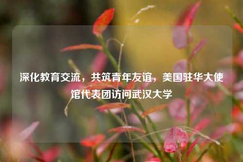 深化教育交流，共筑青年友谊，美国驻华大使馆代表团访问武汉大学