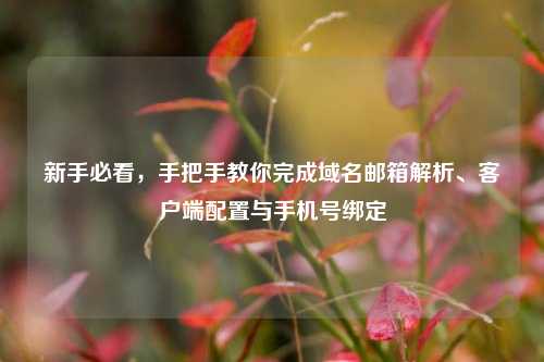 新手必看，手把手教你完成域名邮箱解析、客户端配置与手机号绑定