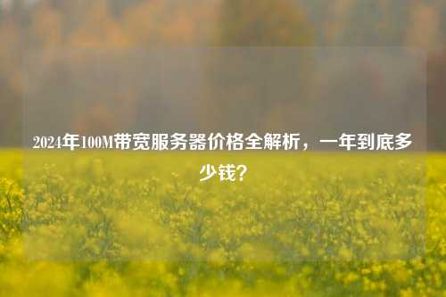 2024年100M带宽服务器价格全解析,一年到底多少钱?