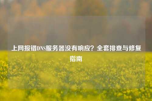 上网报错DNS服务器没有响应?全套排查与修复指南