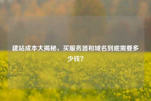 建站成本大揭秘，买服务器和域名到底需要多少钱？