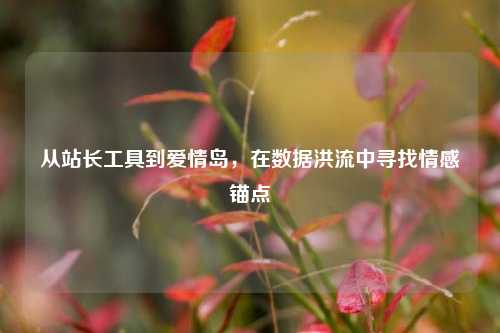 从站长工具到爱情岛,在数据洪流中寻找情感锚点