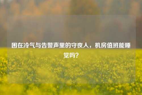 困在冷气与告警声里的守夜人,机房值班能睡觉吗?