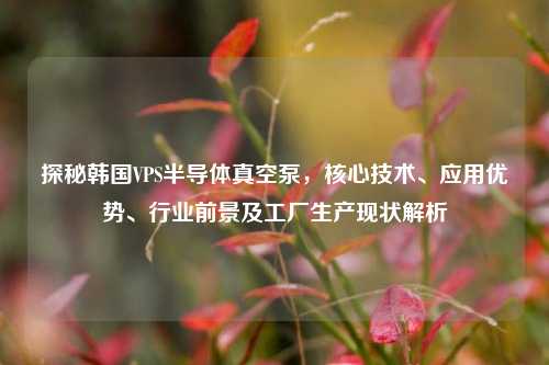 探秘韩国VPS半导体真空泵,核心技术、应用优势、行业前景及工厂生产现状解析
