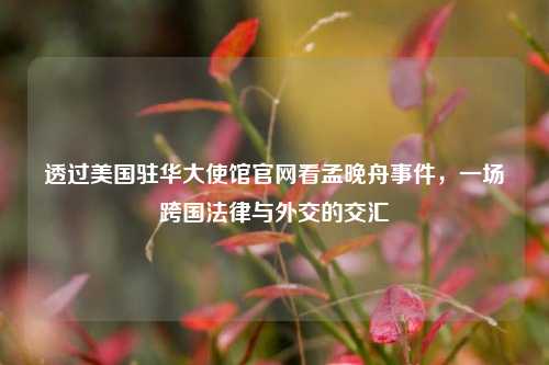 透过美国驻华大使馆官网看孟晚舟事件,一场跨国法律与外交的交汇