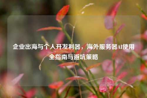 企业出海与个人开发利器，海外服务器AI使用全指南与避坑策略