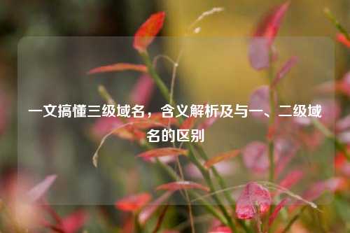 一文搞懂三级域名，含义解析及与一、二级域名的区别