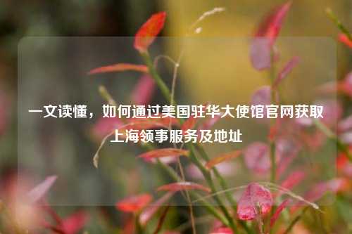 一文读懂，如何通过美国驻华大使馆官网获取上海领事服务及地址