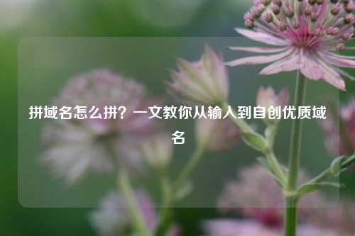拼域名怎么拼?一文教你从输入到自创优质域名