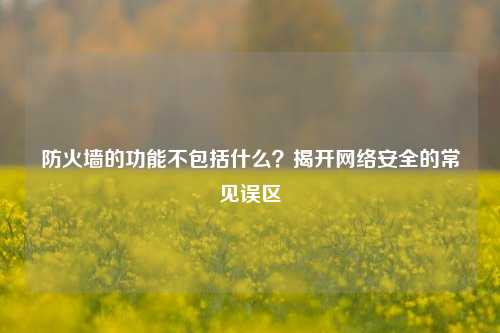 防火墙的功能不包括什么?揭开网络安全的常见误区