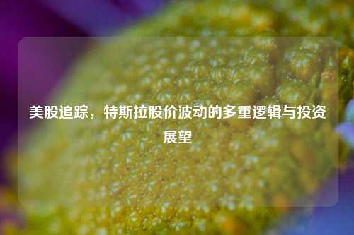 美股追踪,特斯拉股价波动的多重逻辑与投资展望