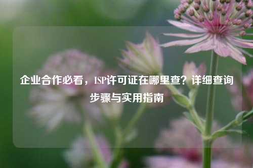 企业合作必看，ISP许可证在哪里查？详细查询步骤与实用指南
