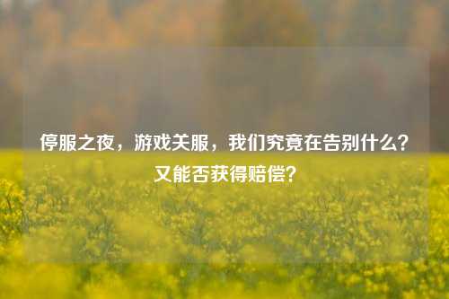停服之夜，游戏关服，我们究竟在告别什么？又能否获得赔偿？