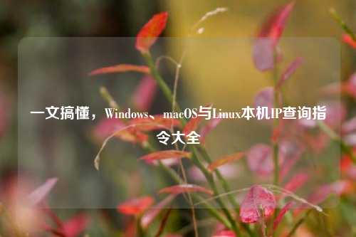 一文搞懂，Windows、macOS与Linux本机IP查询指令大全