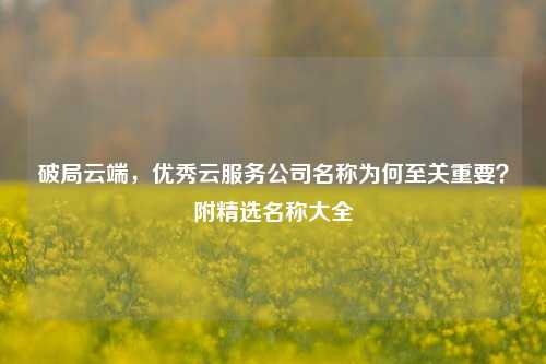 破局云端,优秀云服务公司名称为何至关重要?附精选名称大全