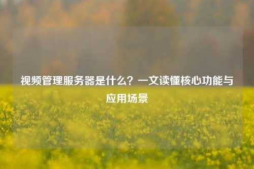 视频管理服务器是什么?一文读懂核心功能与应用场景