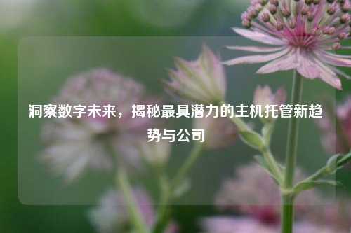 洞察数字未来,揭秘最具潜力的主机托管新趋势与公司