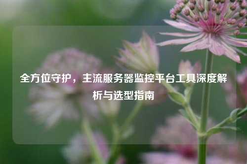全方位守护，主流服务器监控平台工具深度解析与选型指南