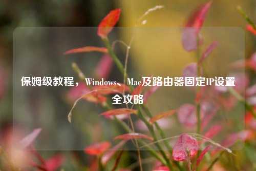 保姆级教程，Windows、Mac及路由器固定IP设置全攻略