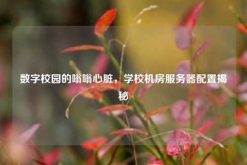 数字校园的嗡嗡心脏，学校机房服务器配置揭秘