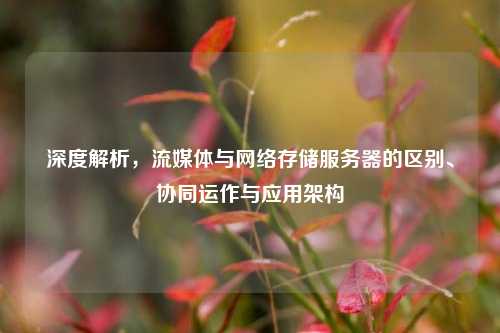 深度解析，流媒体与网络存储服务器的区别、协同运作与应用架构