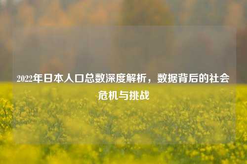 2022年日本人口总数深度解析,数据背后的社会危机与挑战
