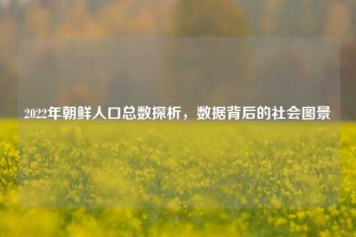 2022年朝鲜人口总数探析,数据背后的社会图景
