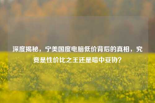 深度揭秘,宁美国度电脑低价背后的真相,究竟是性价比之王还是暗中妥协?