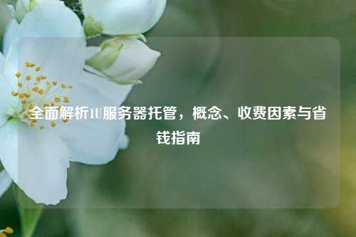 全面解析1U服务器托管,概念、收费因素与省钱指南
