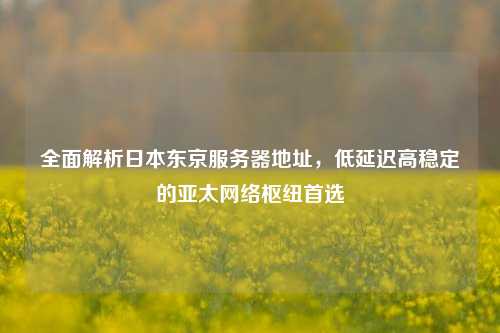 全面解析日本东京服务器地址，低延迟高稳定的亚太网络枢纽首选