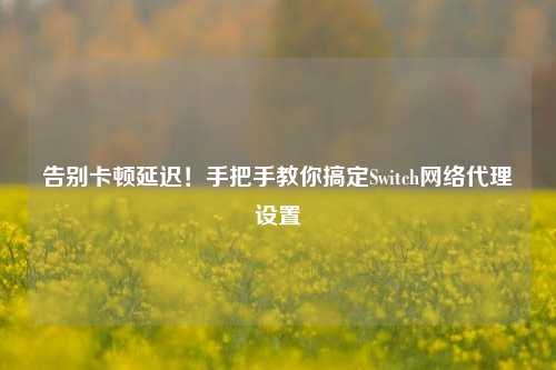 告别卡顿延迟！手把手教你搞定Switch网络代理设置