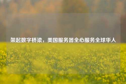 架起数字桥梁,美国服务器全心服务全球华人