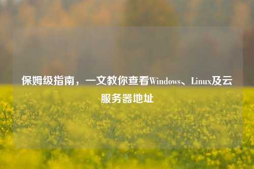 保姆级指南,一文教你查看Windows、Linux及云服务器地址