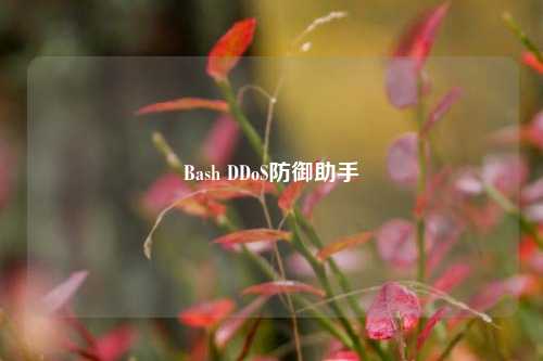 Bash DDoS防御助手