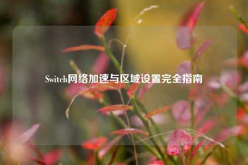 Switch网络加速与区域设置完全指南