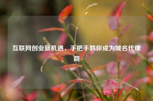 互联网创业新机遇,手把手教你成为域名代理商