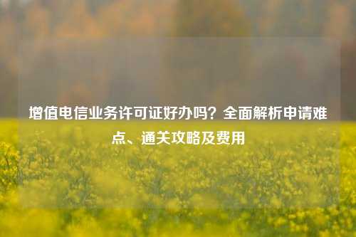 增值电信业务许可证好办吗？全面解析申请难点、通关攻略及费用