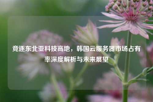 竞逐东北亚科技高地,韩国云服务器市场占有率深度解析与未来展望