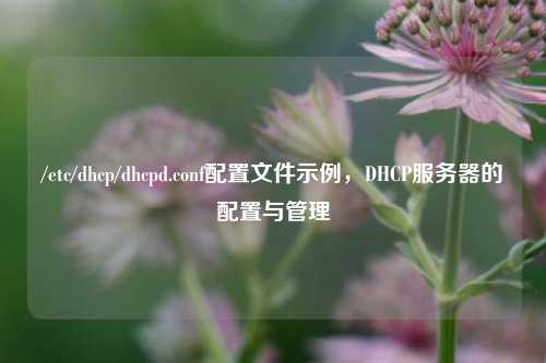 /etc/dhcp/dhcpd.conf配置文件示例,DHCP服务器的配置与管理