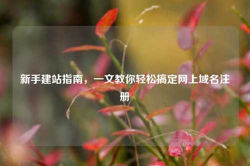 新手建站指南，一文教你轻松搞定网上域名注册