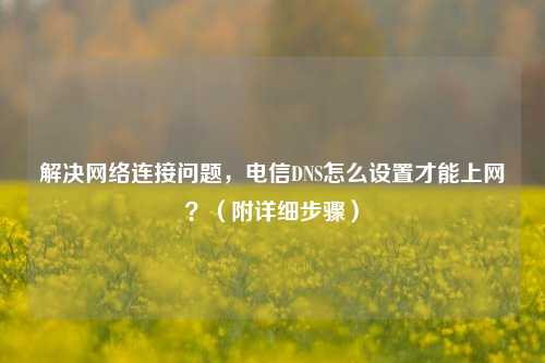 解决网络连接问题，电信DNS怎么设置才能上网？（附详细步骤）