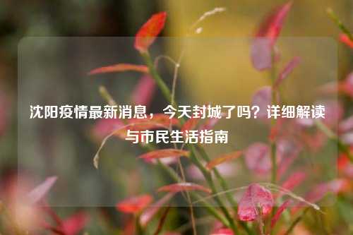 沈阳疫情最新消息,今天封城了吗?详细解读与市民生活指南