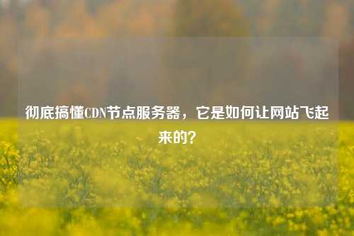 彻底搞懂CDN节点服务器,它是如何让网站飞起来的?
