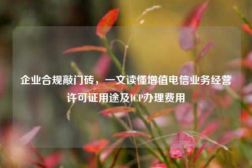 企业合规敲门砖,一文读懂增值电信业务经营许可证用途及ICP办理费用