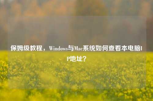 保姆级教程，Windows与Mac系统如何查看本电脑IP地址？