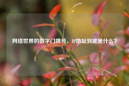 网络世界的数字门牌号，IP地址到底是什么？