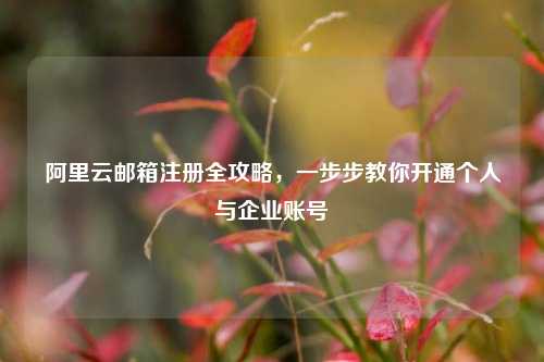 阿里云邮箱注册全攻略，一步步教你开通个人与企业账号