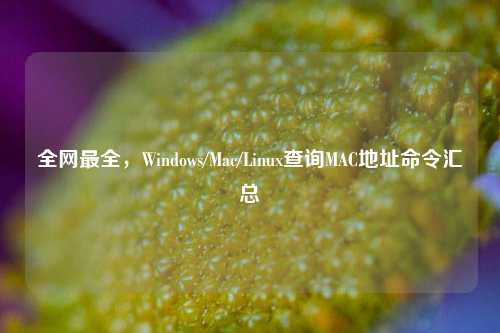 全网最全,Windows/Mac/Linux查询MAC地址命令汇总