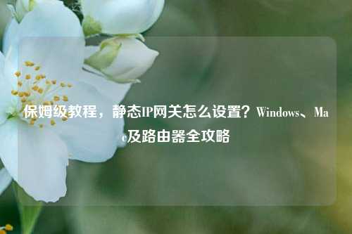 保姆级教程，静态IP网关怎么设置？Windows、Mac及路由器全攻略