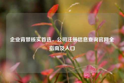 企业背景核实首选，公司注册信息查询官网全指南及入口